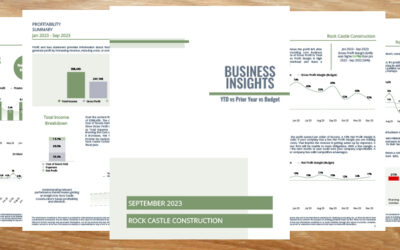 Business Insight Report Template