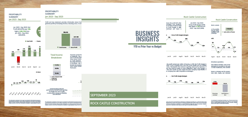 Business Insight Report Template