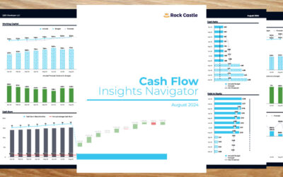 Cash Flow Insights Template