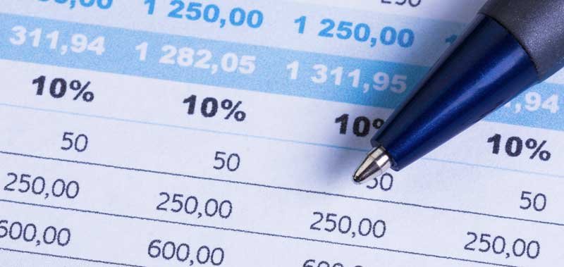 An income statement displaying revenue, expenses, and net income, providing a comprehensive overview of a company's financial performance