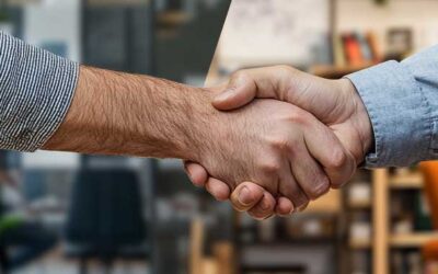 Financial Transparency in Business Reporting