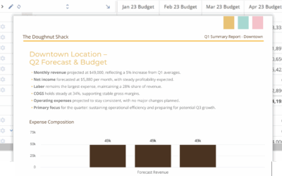 Build Multi-Location Franchise Financial Reports