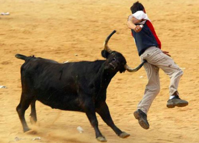 picture_thousand_words