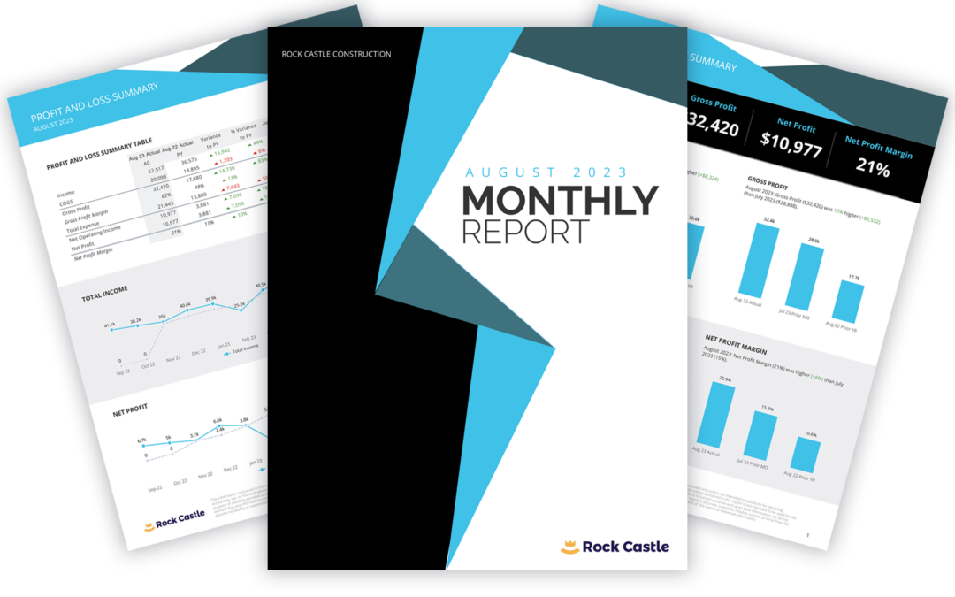 Budgyt vs. Reach Reporting: A Detailed Comparison