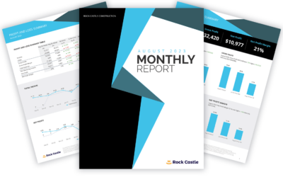 Budgyt vs. Reach Reporting: A Detailed Comparison